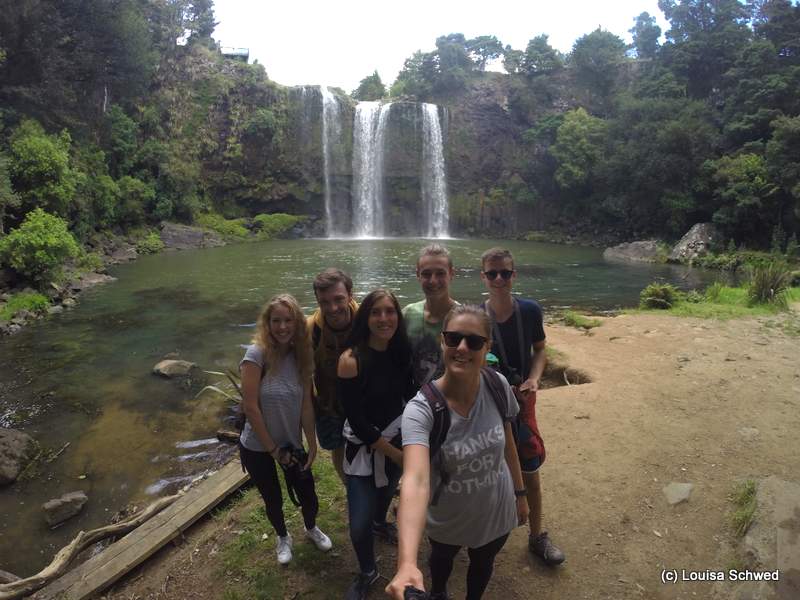 Whangarei Falls