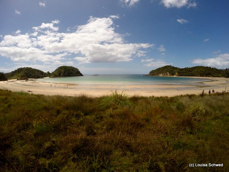 Matapouri Bay