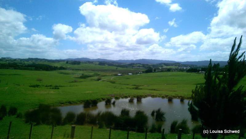 Typisches Bild auf unserem Weg nach Norden