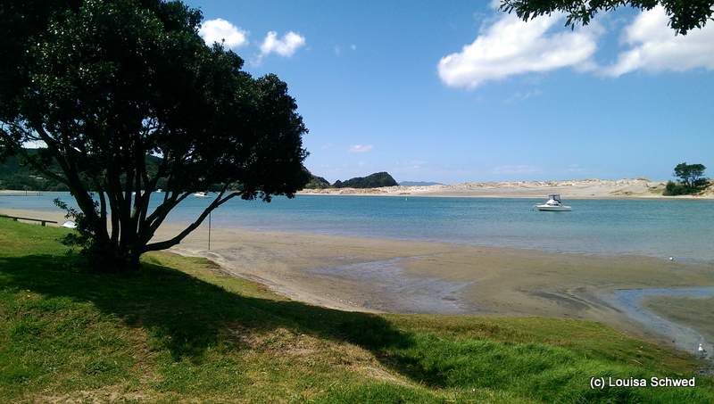 Irgendwo an der Küste auf dem Weg nach Norden