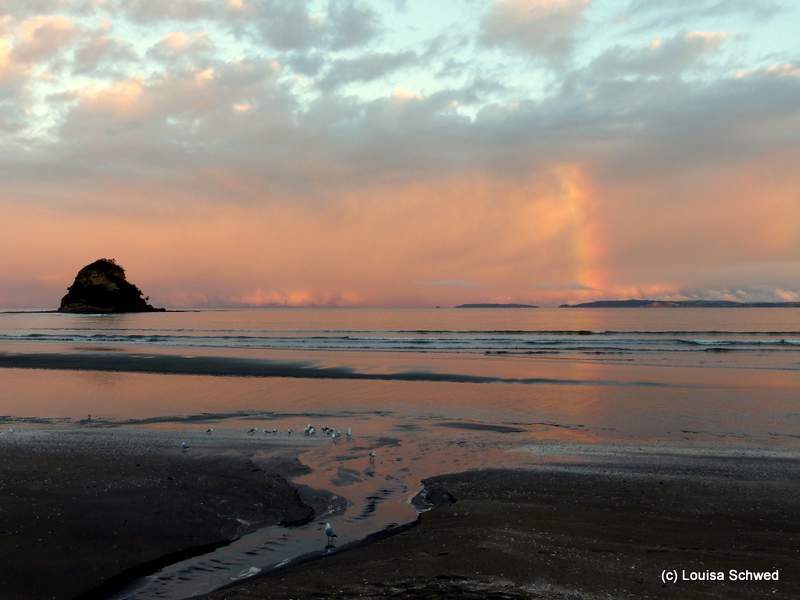 Sonnenuntergang nahe Orewa