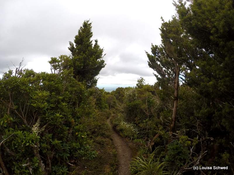 Wanderweg auf dem Mt Taranaki
